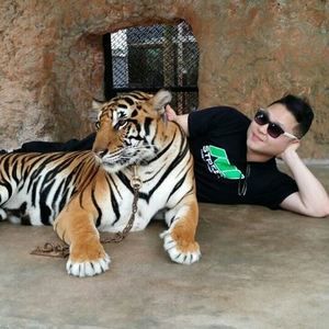 Meet your Posher, Joe